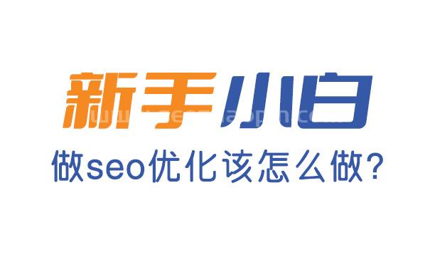 新手做seo怎么做?從哪些方面開始做?