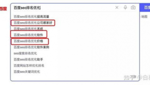 百度seo搜索引擎優化(百度seoo優化軟件)