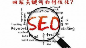 seo推廣軟件下載（seo推廣軟件品牌）