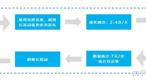 站群怎么盈利（站群seo怎么做）