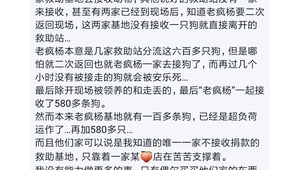 達州流浪狗基地(達州寵物救助站電話號碼)