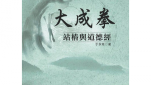 王珍清站樁音樂（王珍清站樁培訓班在哪里）