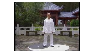 馬世琦站樁視頻教程(馬世琦站樁心得)