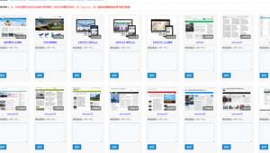 小霸王發展有限公司（小霸王公司）