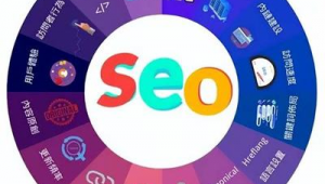 seo快速優化軟件(seo平臺優化)