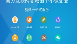 探索網站軟件庫：海量資源匯聚，滿足多樣需求