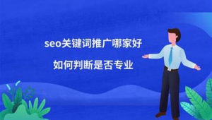 seo關鍵詞寫手(seo關鍵詞推廣哪個平臺好)