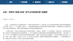 菏澤百度整站優(yōu)化服務(wù)_菏澤域名