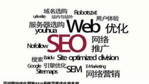 深圳網(wǎng)站快速優(yōu)化排名_深圳網(wǎng)站優(yōu)化軟件