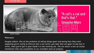 貓咪網(wǎng)站軟件哪個好（貓咪網(wǎng)應(yīng)用）