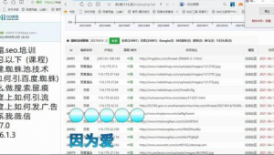 排名優(yōu)化軟件報價（真實有效的優(yōu)化排名）