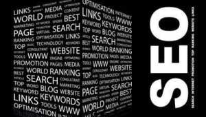 廣州seo網站管理(廣州seo成功案例)