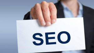 寄生蟲saas（寄生蟲網(wǎng)頁）