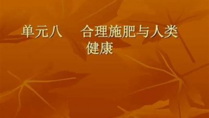 快手SEO優化排名_SEO優化排名前十