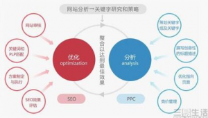 網站優化效果評估的內容有哪些_網站評估實例