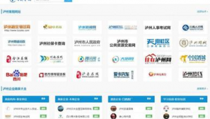 瀘州網站建設（瀘州網絡信息服務app）