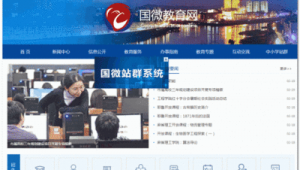 國微集團官網（國微集團加班嗎）