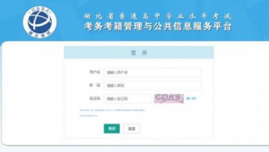 報名系統軟件網站打不開(報名網站進不去)