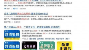 優化軟件哪個好（國內優化軟件）