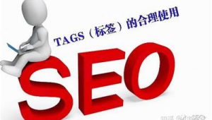 青島seo整站優(yōu)化哪家專業(yè)（青島 google seo）