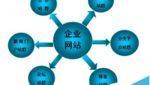 站群優化系統（群優化軟件有哪些）