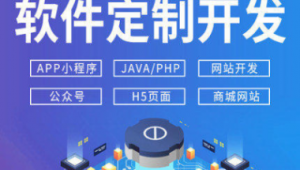 軟件平臺推廣(軟件網絡推廣)