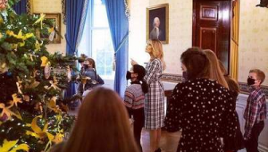 白宮怎么涂色（白宮網站中文）