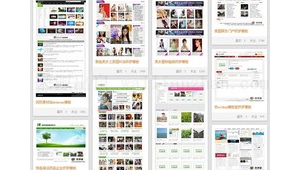 我的博客 專注站群