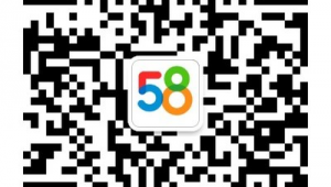 聊城站群網站建設（聊城本地網站）