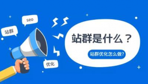 群推廣方案_站群營銷