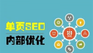 seo快速優化技術_seo快速優化軟件推廣方法