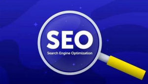 seo具體怎么優(yōu)化seo技術(shù)蜘蛛屯_seo功能蜘蛛屯