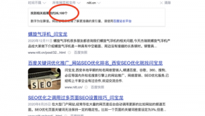 站群有什么用（站群排名技術）