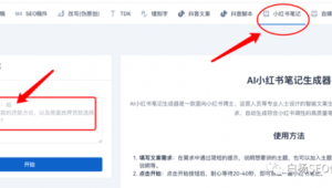 小紅書(shū)seo軟件下載官網(wǎng)（小紅書(shū)seo關(guān)鍵詞優(yōu)化多少錢）