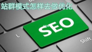 2021站群程序（站群優化系統）