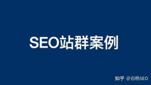 站群優化是什么意思(站群優化關鍵詞)