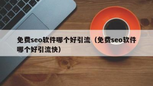 免費seo推廣軟件引流是真的嗎(免費推廣引流加精準客源軟件)
