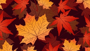 楓葉城百科(楓葉會(huì)館)