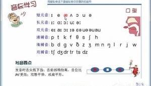 學習軟件的網站(軟件跟網站的區別)