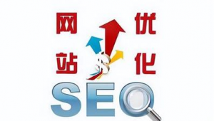 seo免費(fèi)優(yōu)化軟件（seo點(diǎn)擊軟件哪個(gè)好用）