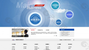 中國公司開發軟件網站官網（開發軟件公司排名）