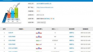 站群排名技術（站群seo技巧）