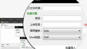 寄生蟲站群軟件（寄生蟲網頁）