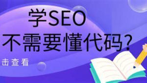 seo搜索優化是什么意思（seo搜索引擎優化實戰）