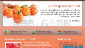 番茄網(wǎng)站軟件