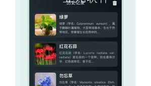 花卉識別的軟件(花卉識別下載)