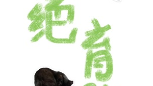 <strong>黑帽</strong>貓咪特效軟件叫什么來著（<strong>黑帽</strong>子男生和貓頭像）