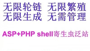 shell website(shellgroup)