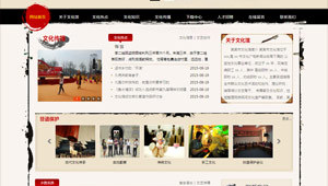 長沙網站免費制作(長沙做網站軟件)