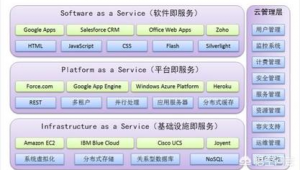 軟件開發和網絡開發（軟件開發和網站開發）